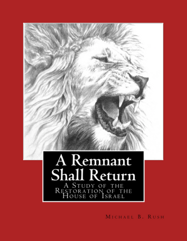 A Remnant Shall Return - Paperback
